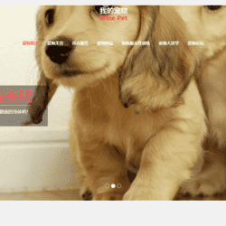 [含文档+PPT+源码等]基于HTML5,DIV CSS实现的宠物狗个性化服务网站前端(静态网页设计)